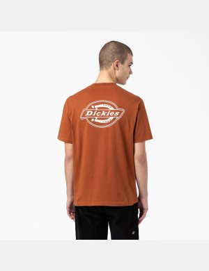 Camiseta Dickies Back Logo Estampadas Hombre Marrones | 4581730-ZX