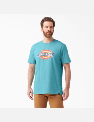 Camiseta Dickies Logo Estampadas Hombre Multicolor | 4192705-EQ