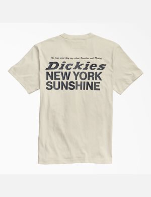 Camiseta Dickies New York Sunshine x MFG Hombre Gris | 3517824-SA