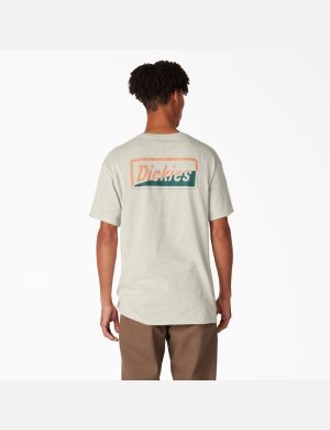 Camiseta Dickies Skateboarding Split Estampadas Hombre Beige | 4018632-RU