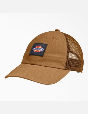 Sombreros Dickies Lona Trucker Unisex Marrones | 8503674-DA