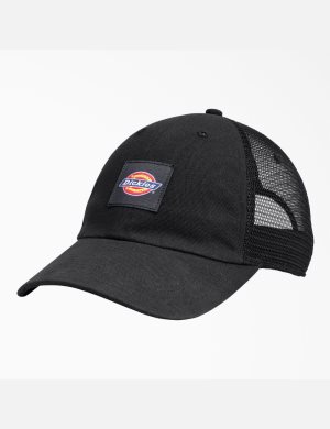 Sombreros Dickies Lona Trucker Unisex Negras | 0625987-IX