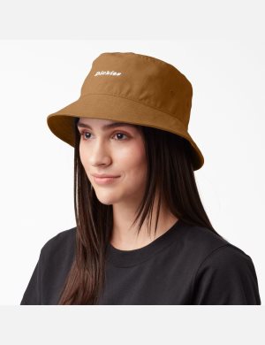 Sombreros Dickies Script Logo Lona Bucket Unisex Marrones | 4138079-XB