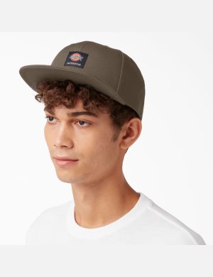 Sombreros Dickies Skateboarding Planos Bill Unisex Marrones Claro | 9123547-CR