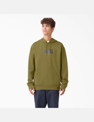 Sudadera Con Capucha Dickies Skateboarding Relief Fleece Hombre Verde | 1284037-RS