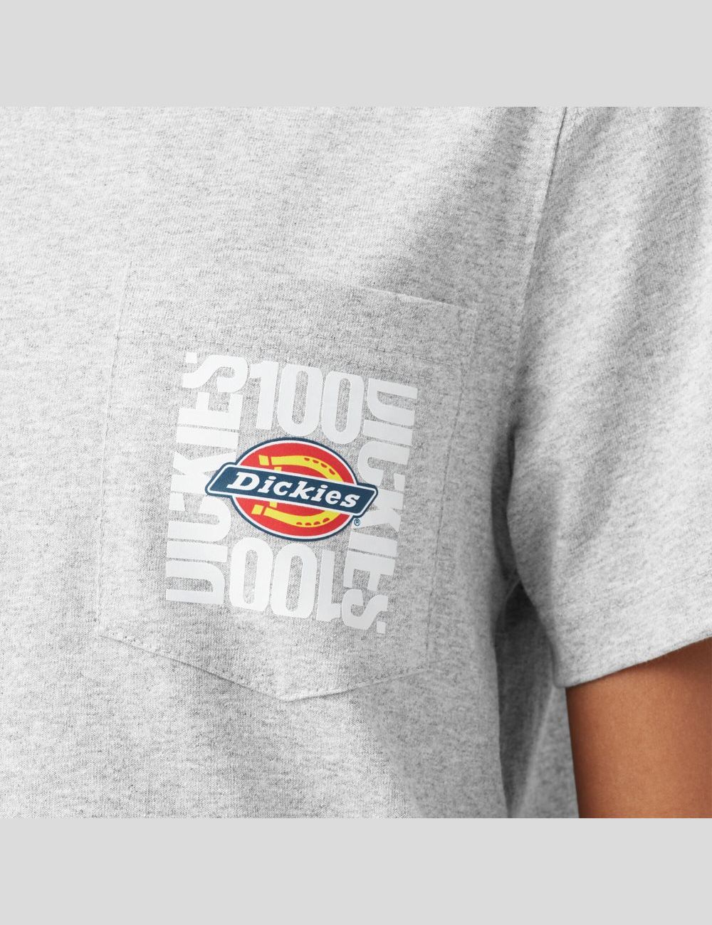 Camiseta Dickies 100 Year Estampadas Mujer Gris | 2718950-HB