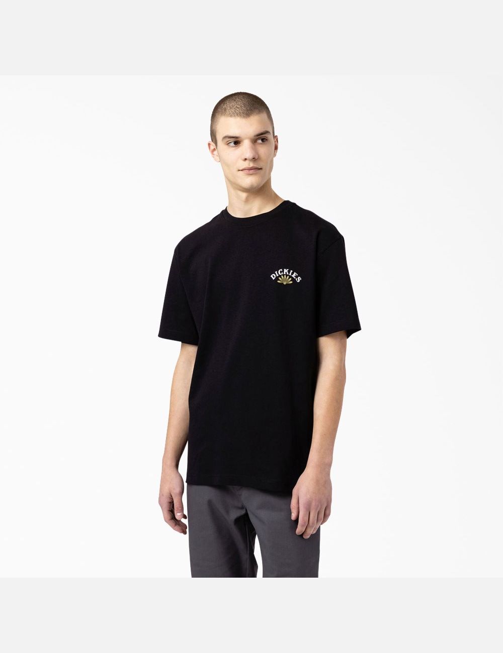 Camiseta Dickies Fort Lewis Estampadas Corta Sleeve Hombre Negras | 2148037-OD