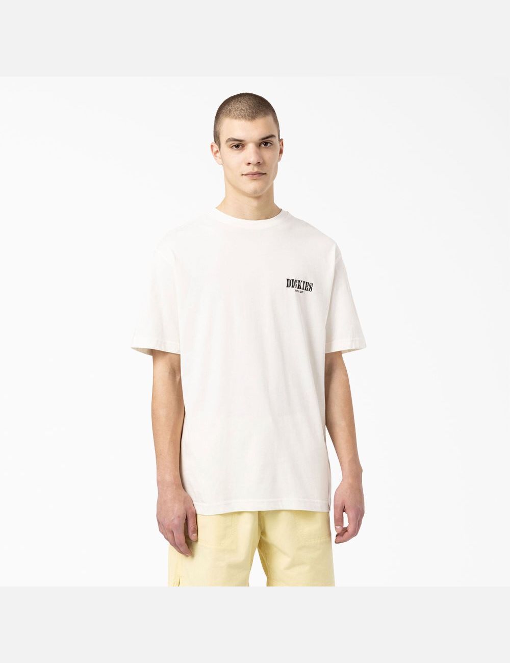 Camiseta Dickies Kelso Estampadas Hombre Beige | 1067429-PE