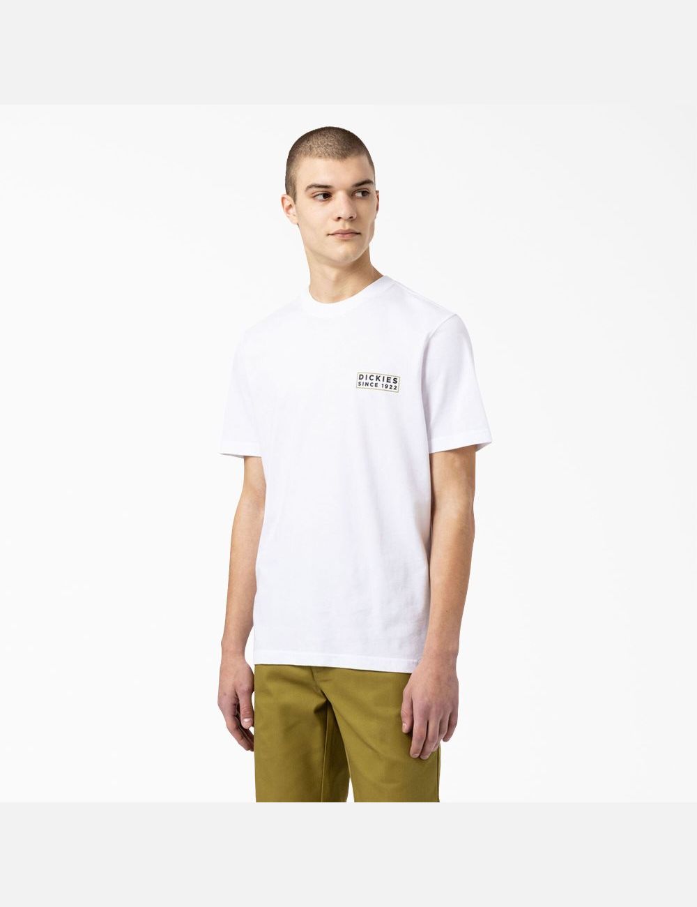 Camiseta Dickies Pacific Estampadas Hombre Blancas | 6375948-ZE