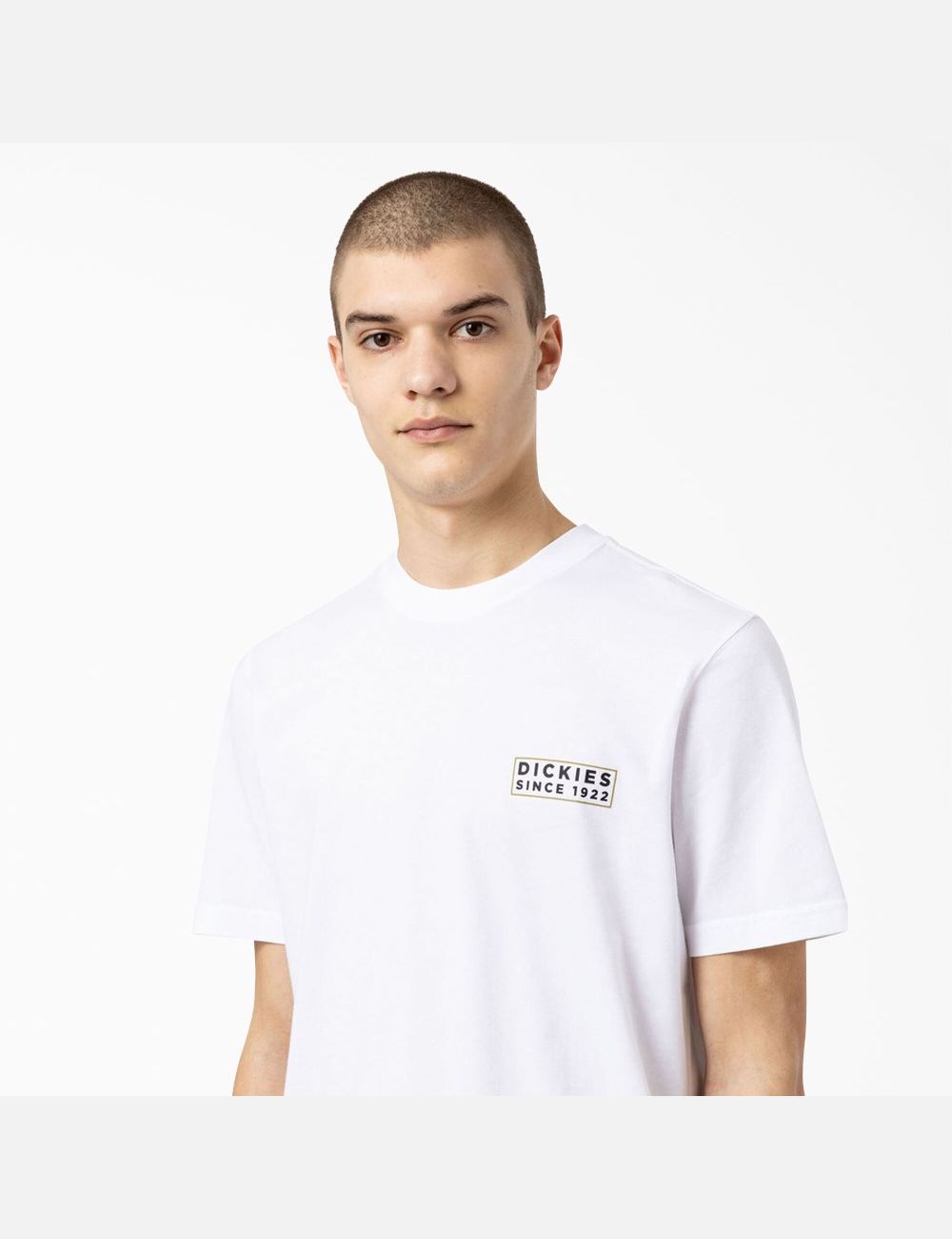 Camiseta Dickies Pacific Estampadas Hombre Blancas | 6375948-ZE