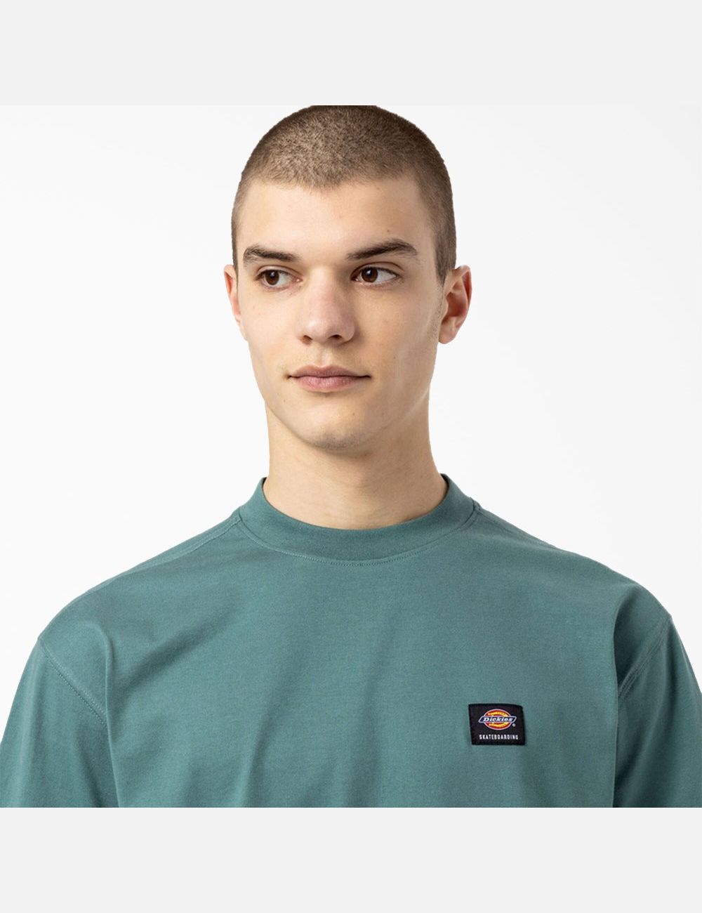 Camiseta Dickies Skateboarding Mount Vista Hombre Verde | 2539647-GY