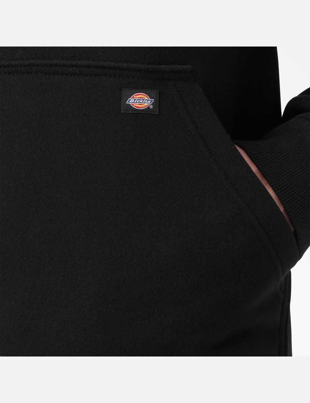 Sudadera Con Capucha Dickies Agua Repellent Logo Sleeve Hombre Negras | 8652731-DO