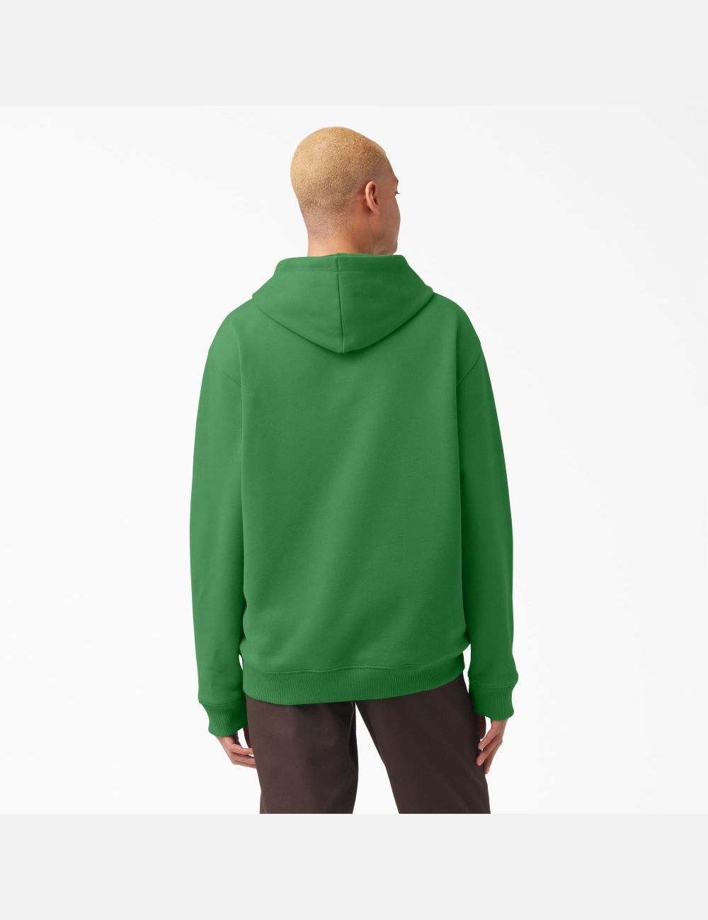 Sudadera Con Capucha Dickies Vincent Alvarez Embroidered Hombre Verde | 9817264-TD